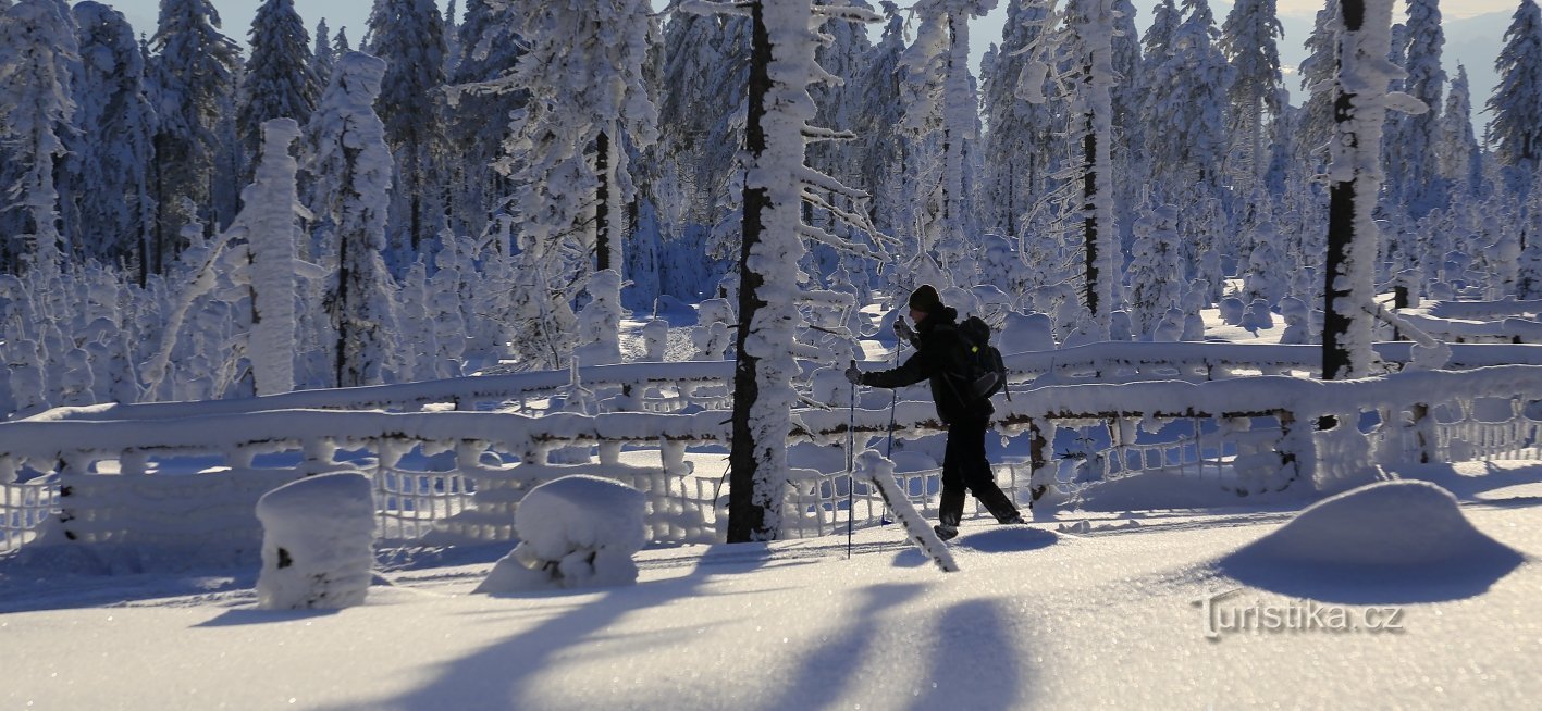 For cross-country skiers: The new circuit was created on the Červenohorské saddle