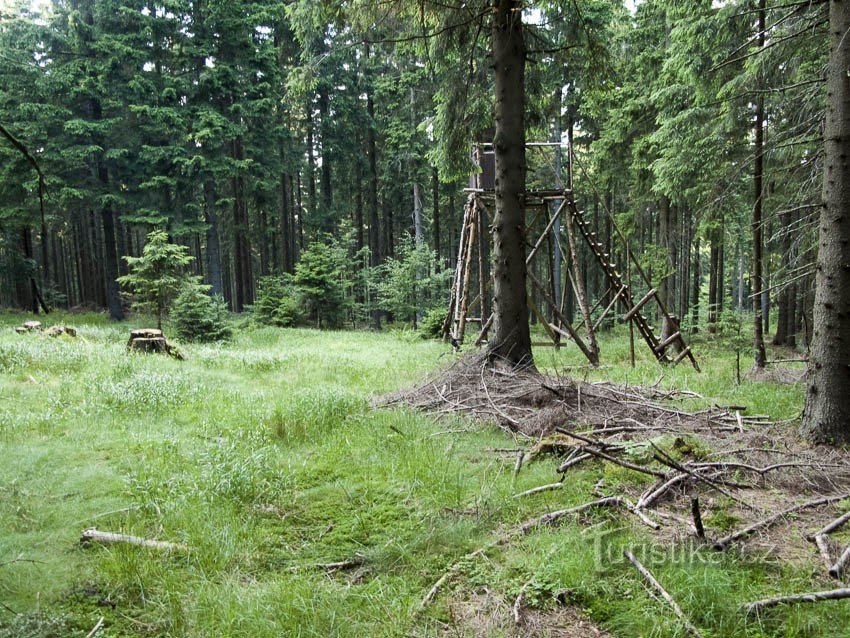 Prolazimo pored grgeča