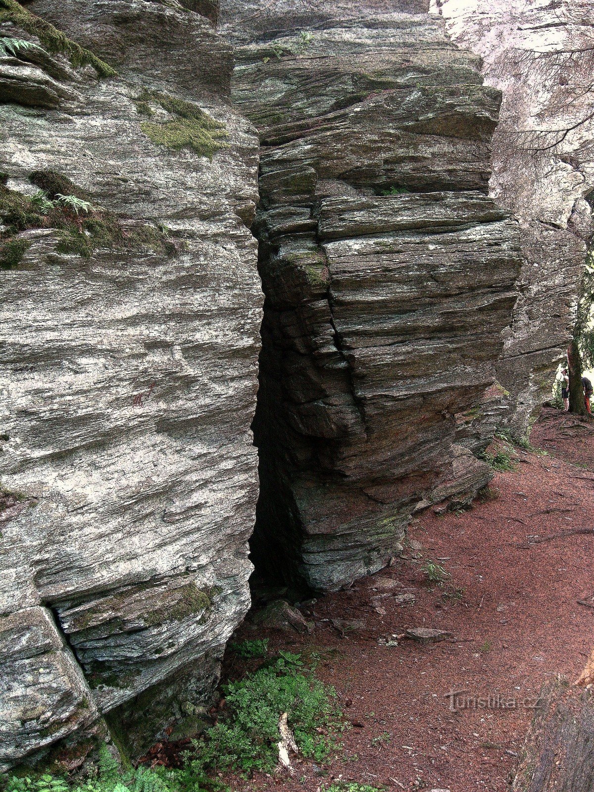 A walk through Dobřečev