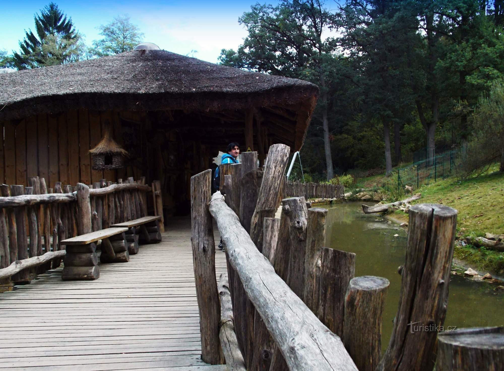 Una passeggiata attraverso l'esposizione dell'Etiopia nello ZOO Lešná, Zlín