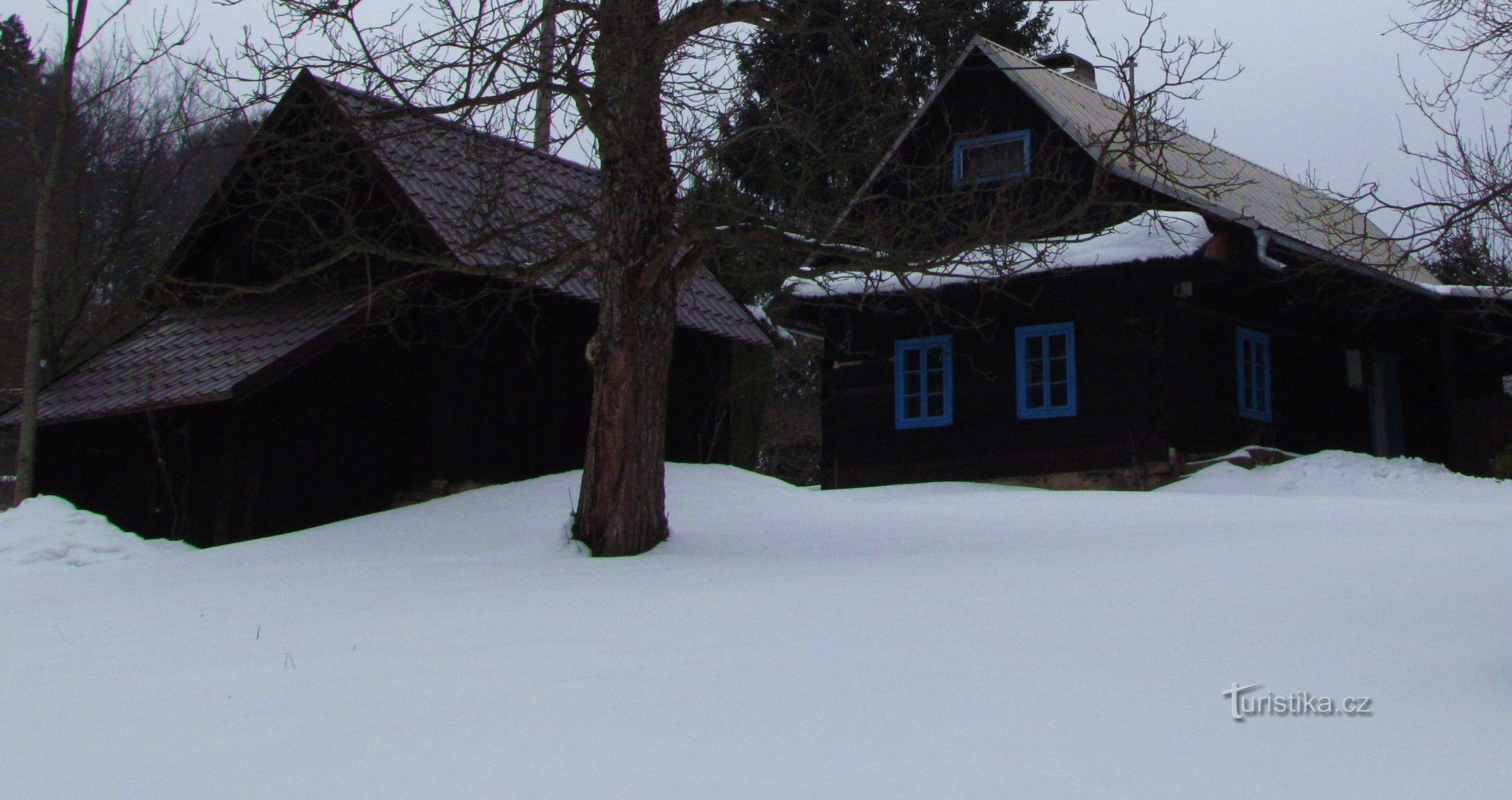 在 Držková 周围的春雪中散步