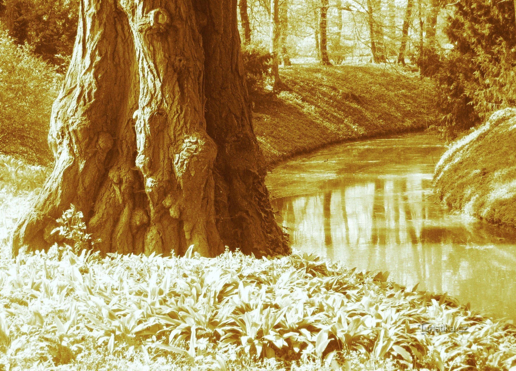 Une promenade à travers Kroměříž et ses jardins