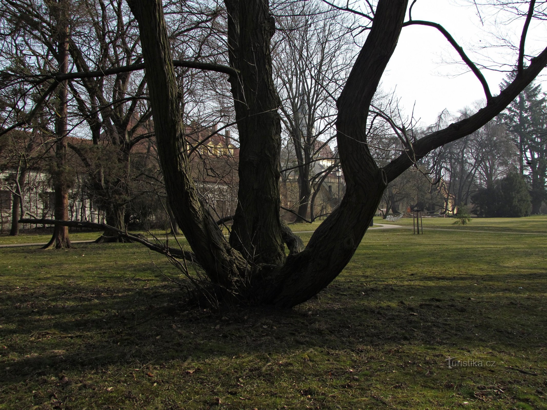 A walk through Lipník nad Bečvou