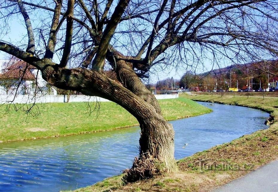 Una passeggiata intorno a Dřevnice - attraverso le quattro stagioni