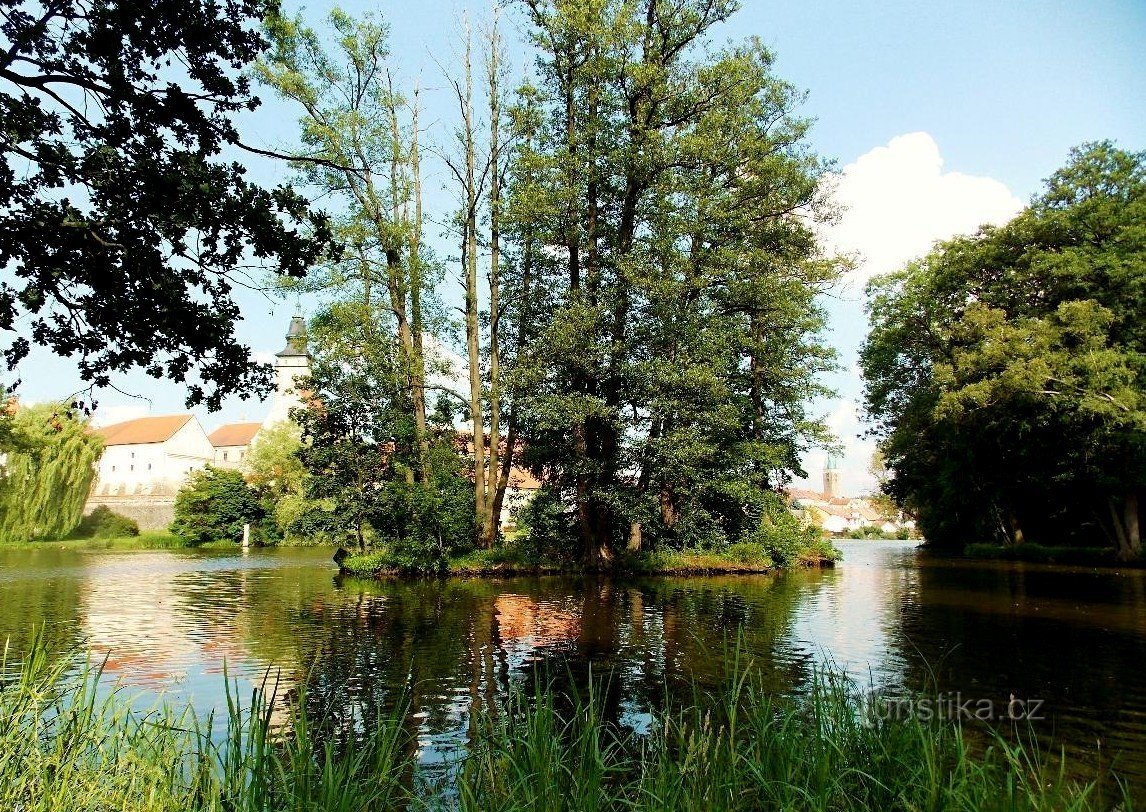 En tur rundt i Telč-dammene og deres afkroge