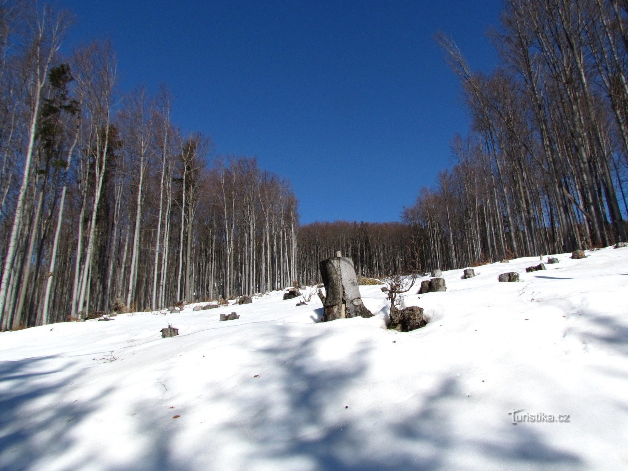 En promenad under vinterbackarna i Čerňava