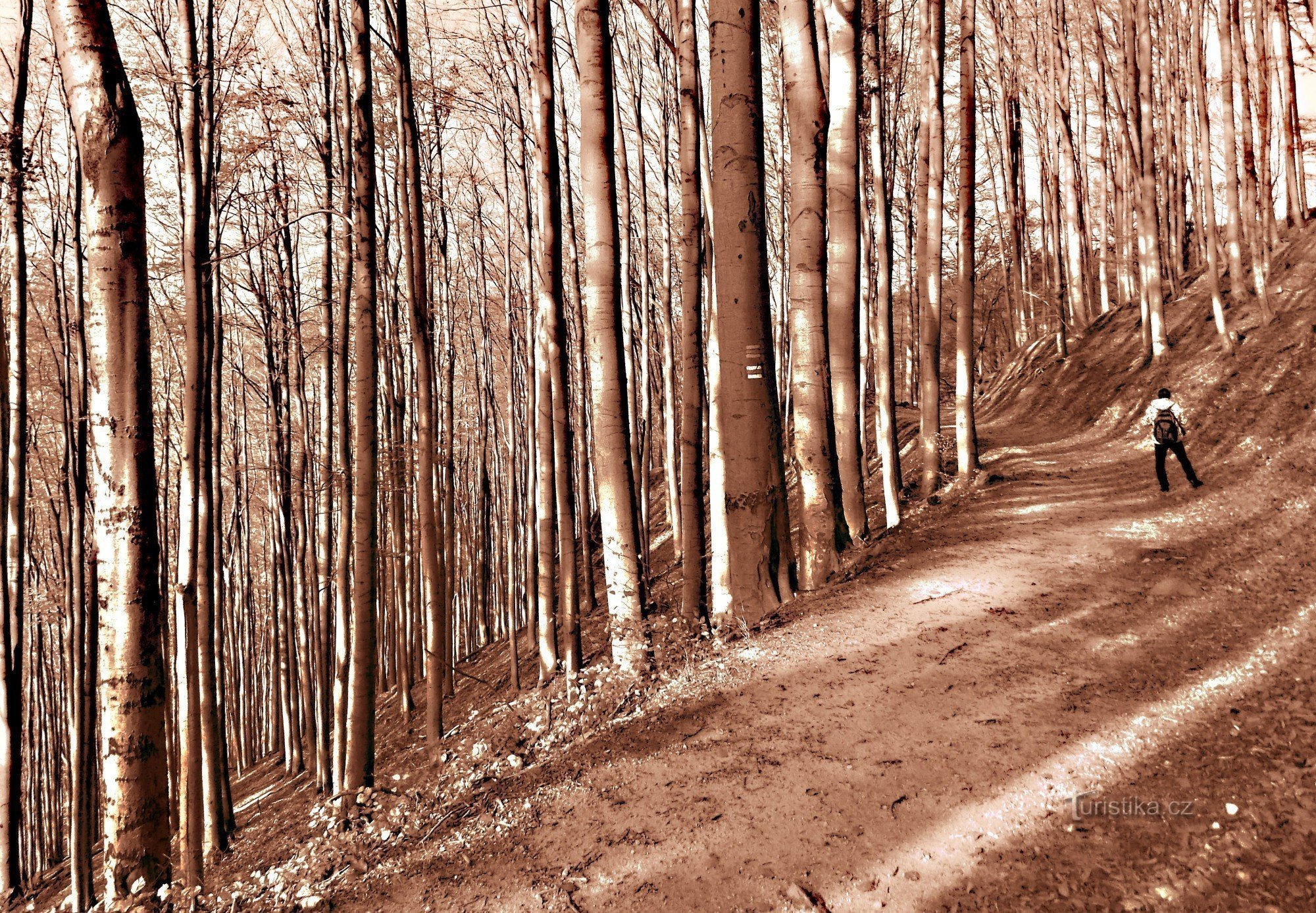 Wandern Sie durch das Naturschutzgebiet Čerňava u Tesák