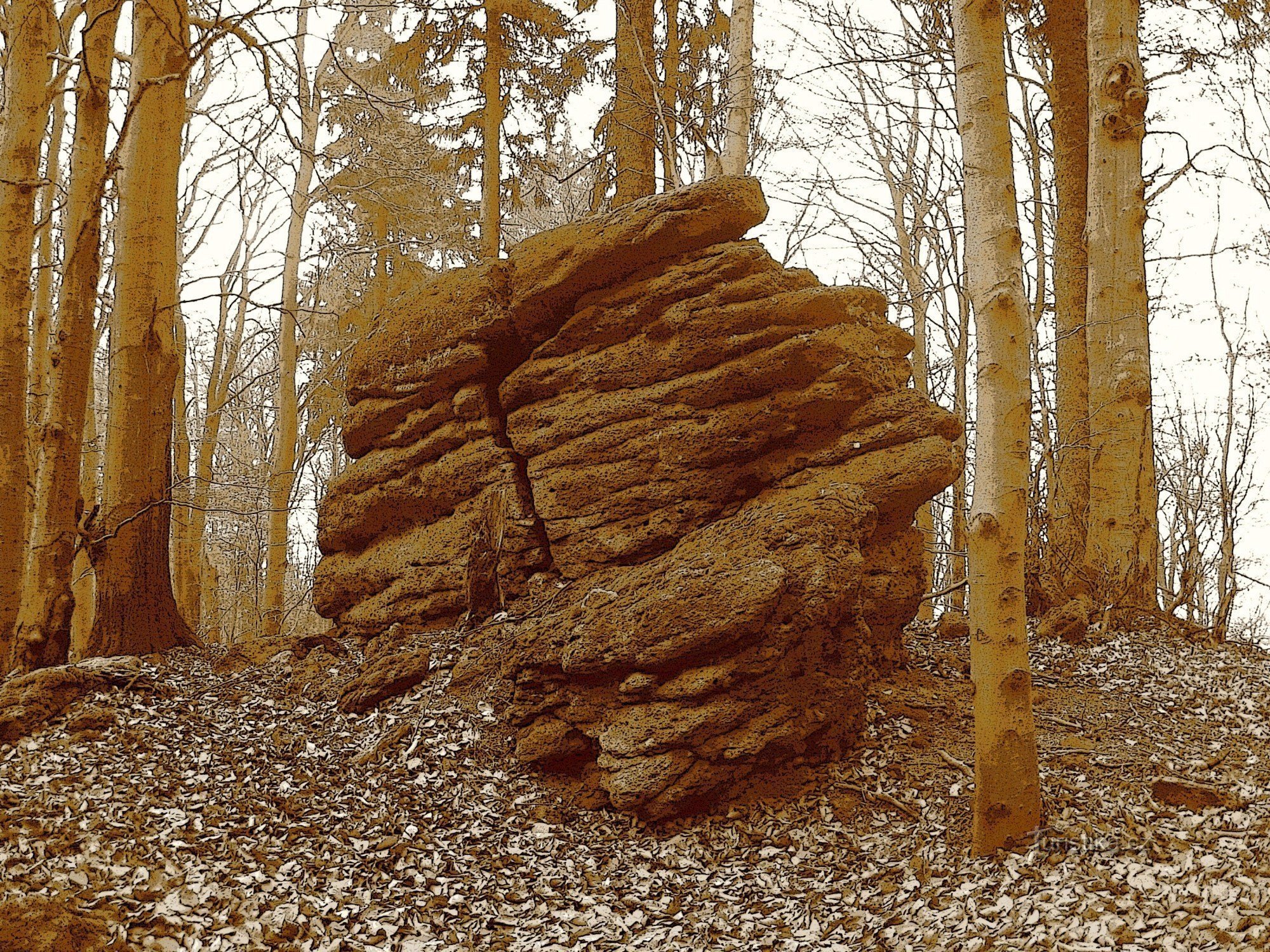 Walk through the Čerňava u Tesák Nature Reserve