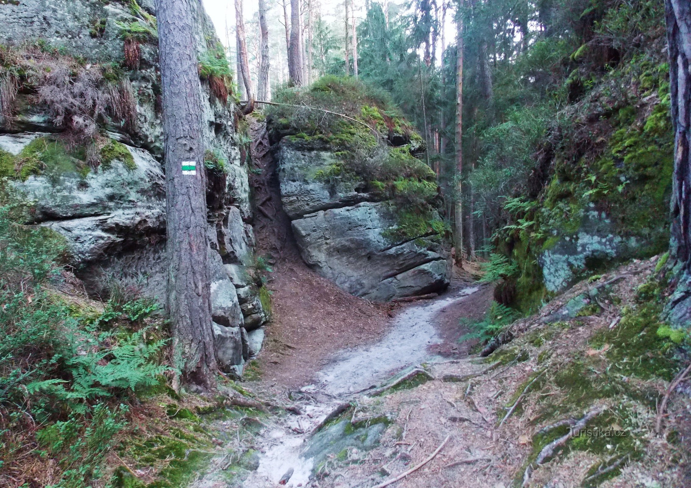 Une promenade à travers les rochers à travers Toulovcovy Maštale