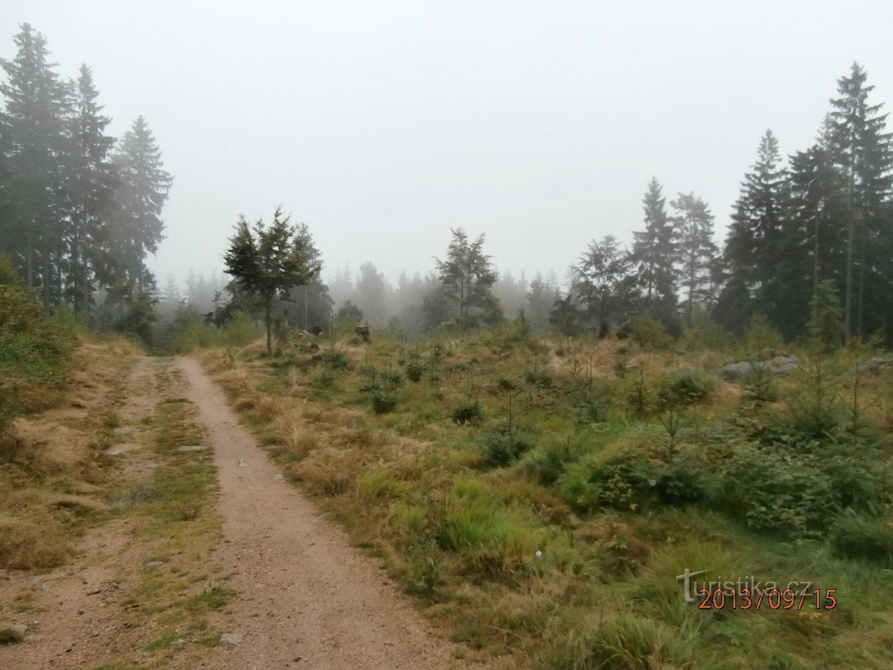 un paseo por los bosques de Tanvald