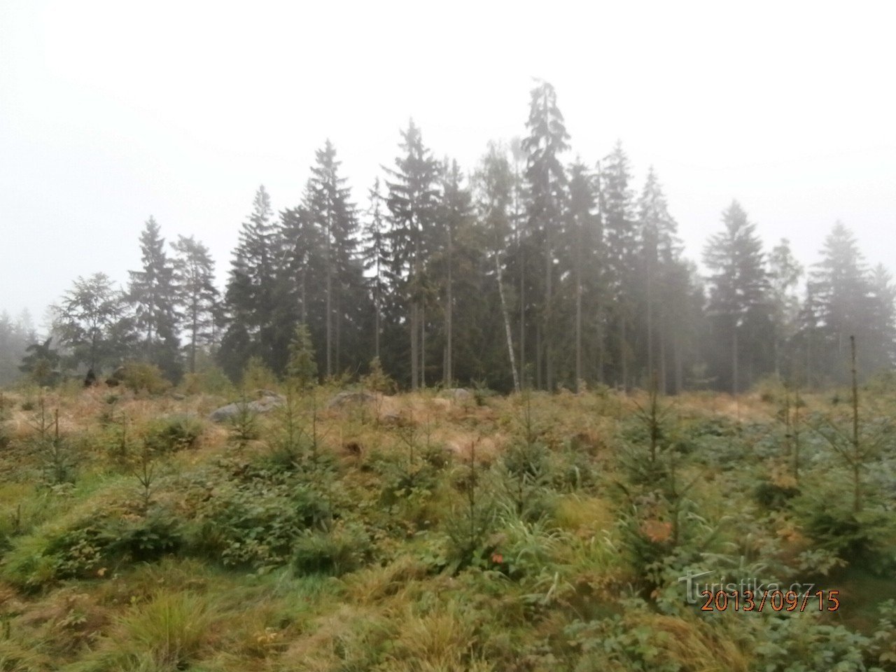 un paseo por los bosques de Tanvald