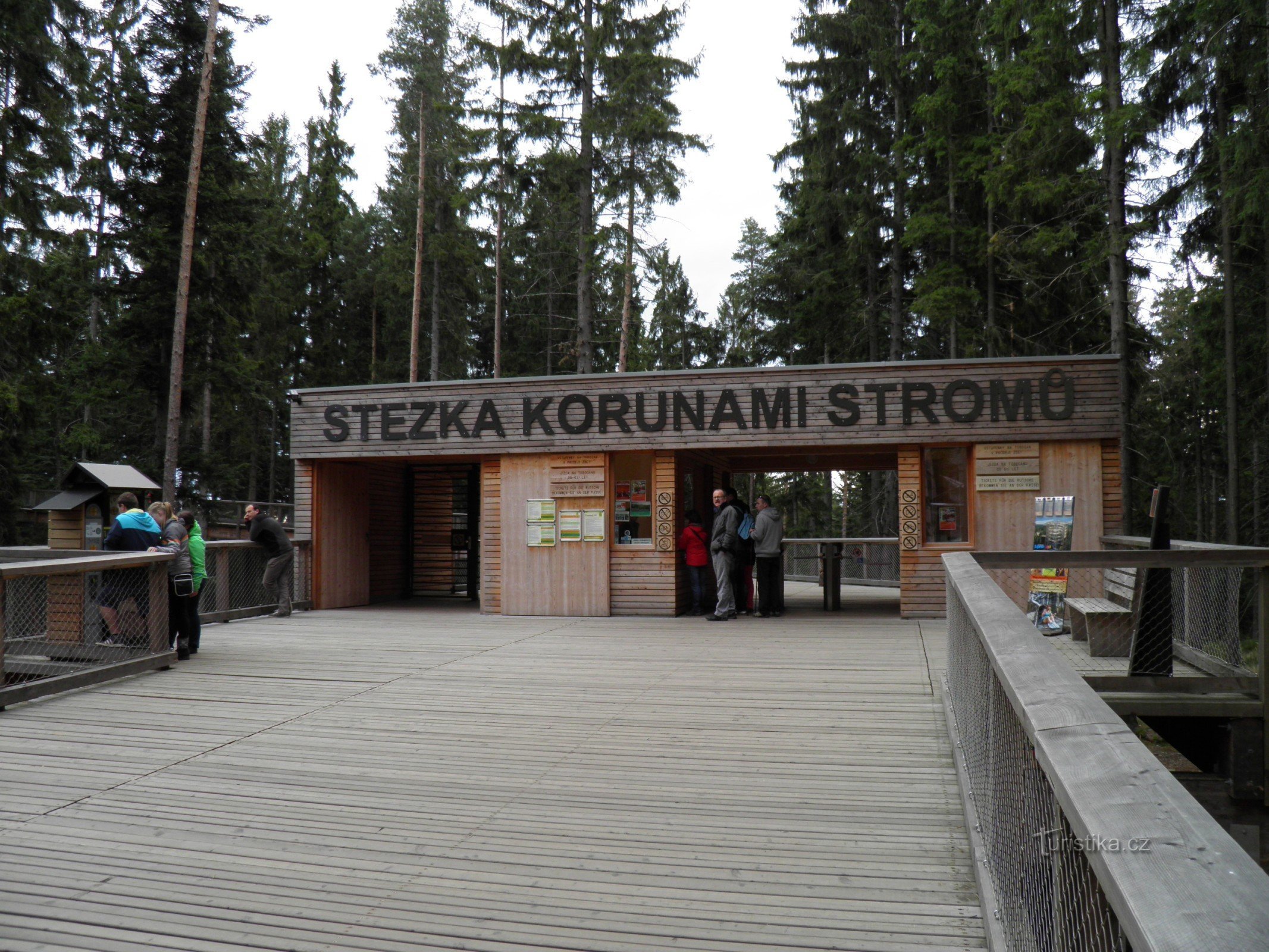 Ein Spaziergang in den Baumwipfeln in Lipno.