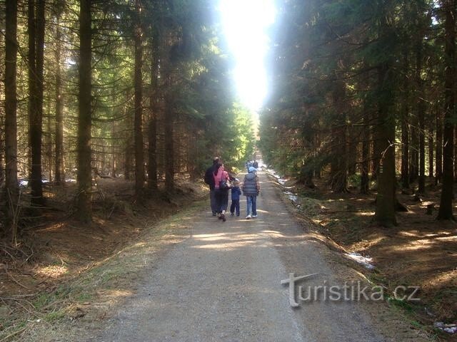 Der Spaziergang beginnt