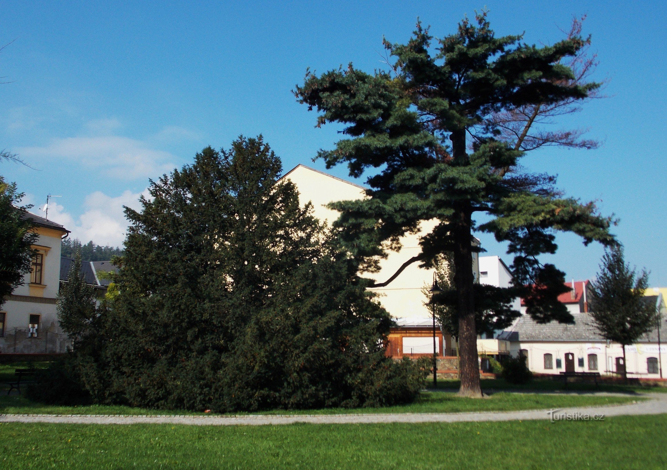 A walk through the castle park in Odra