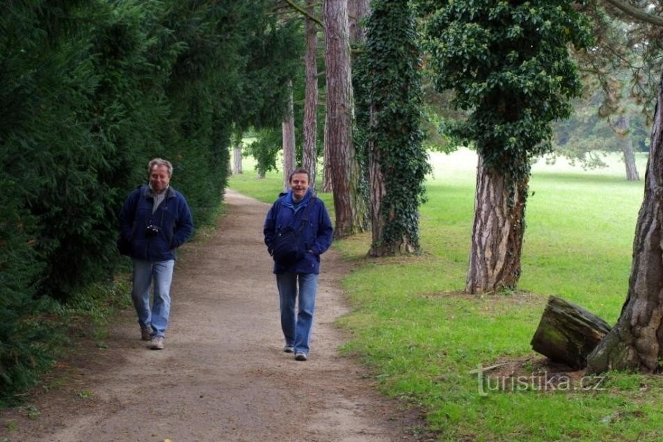 A walk through the castle park, cellars everywhere below us