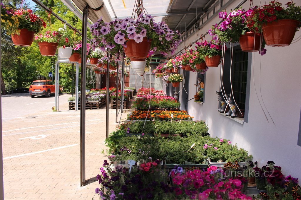 Tienda de flores