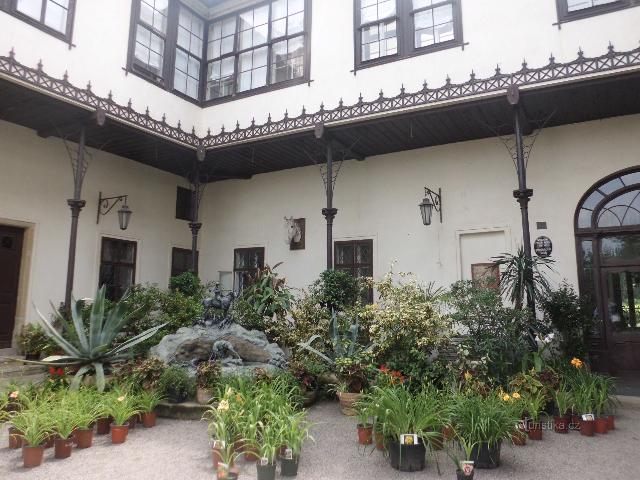 sale exhibition of lilies in the courtyard