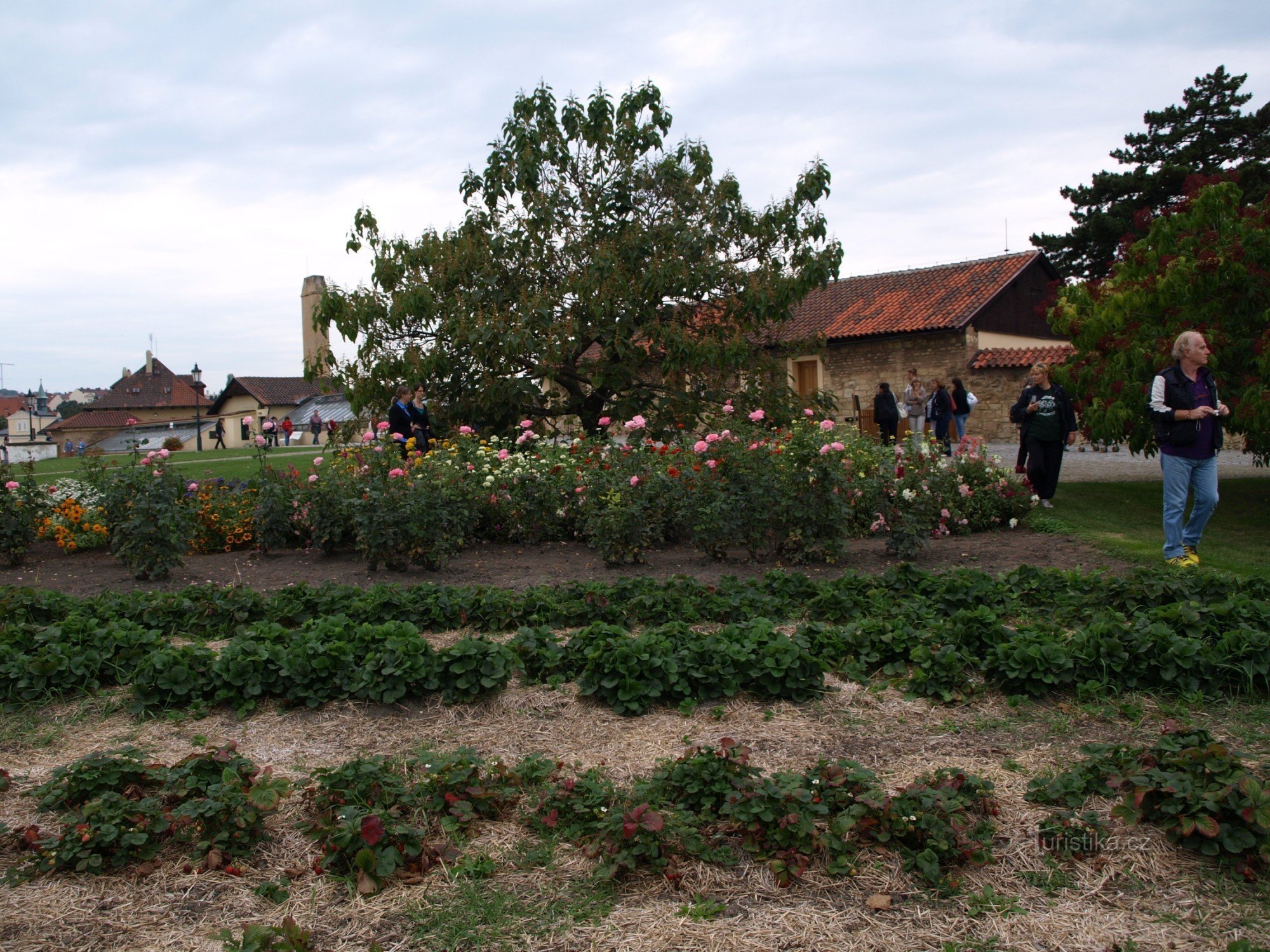 Jardines de producción del Castillo de Praga