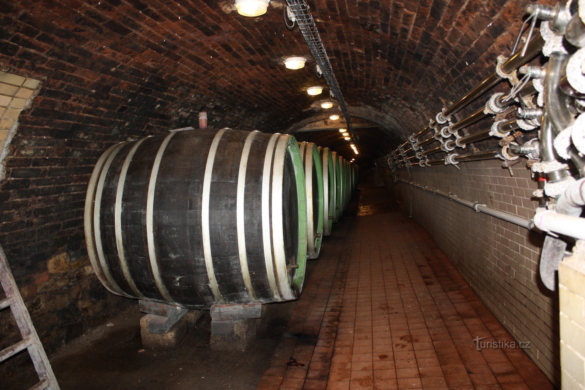 Ogled grajskih vinskih kleti v Bzencu