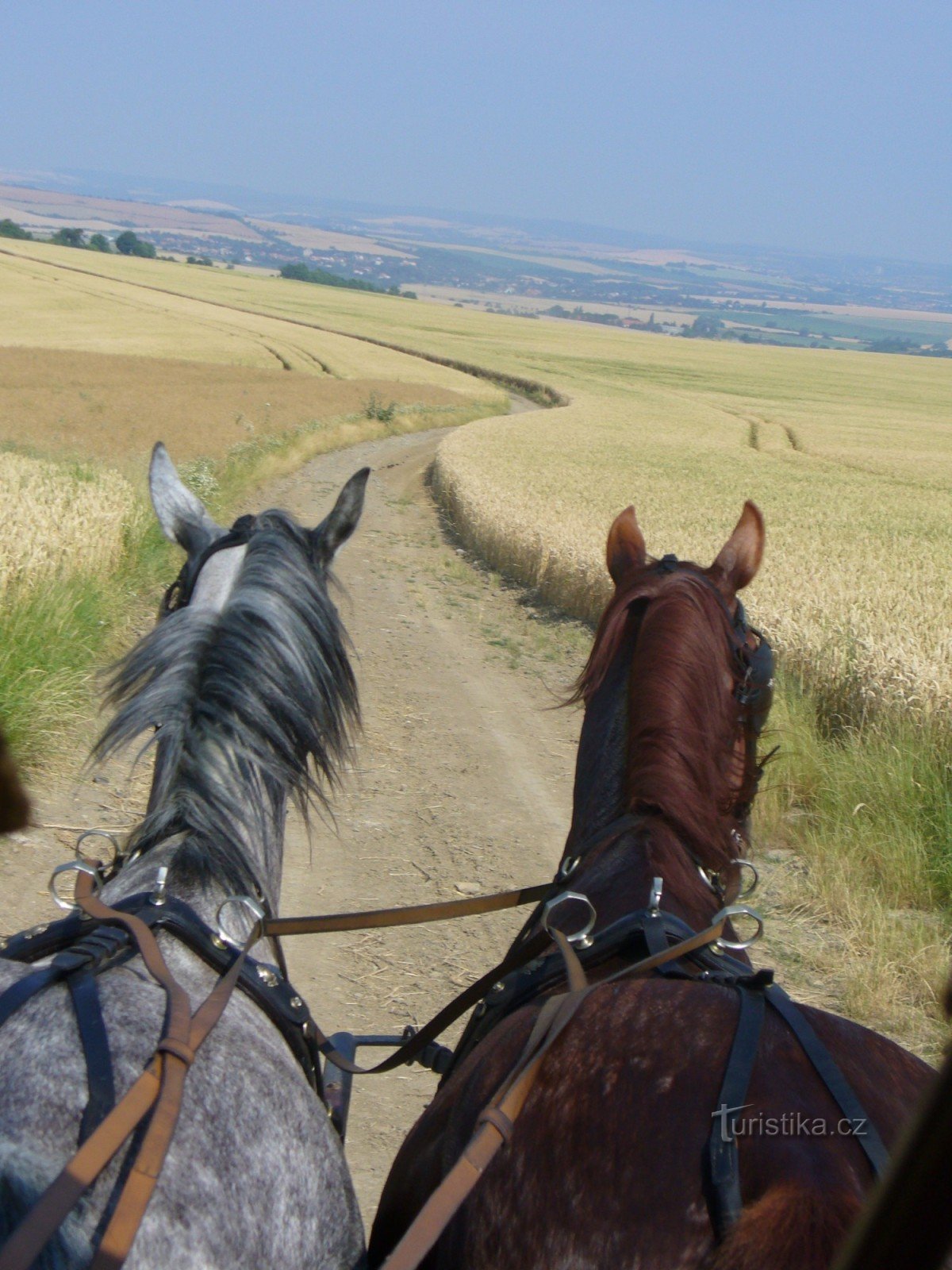 Giro in carrozza