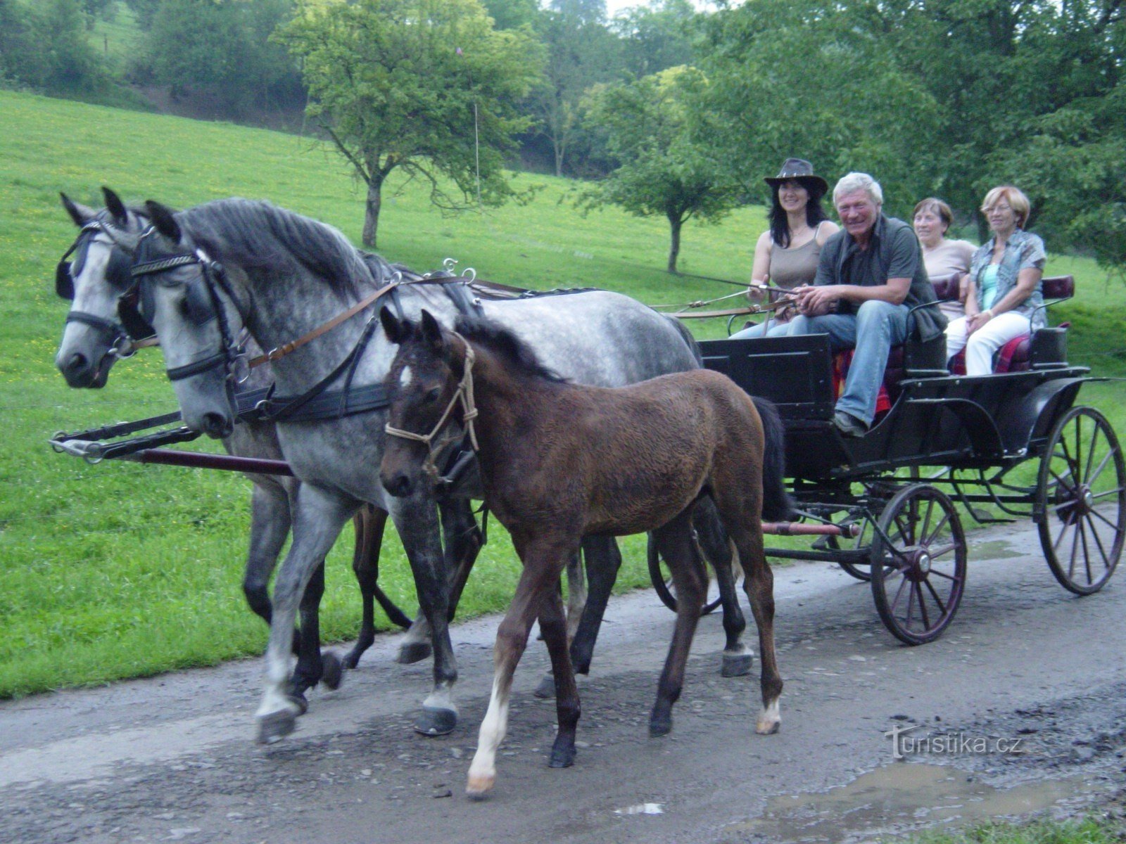 przejażdżki bryczką