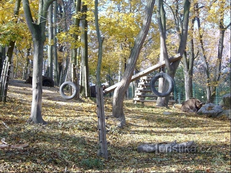 Strutture da arrampicata nel paddock