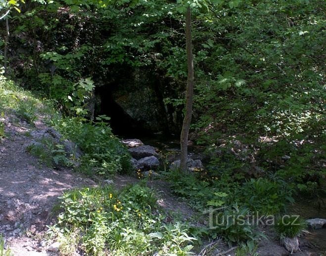 Sinkhole: One of the many sinkholes in the Říčka valley - this sinkhole is located in the kou