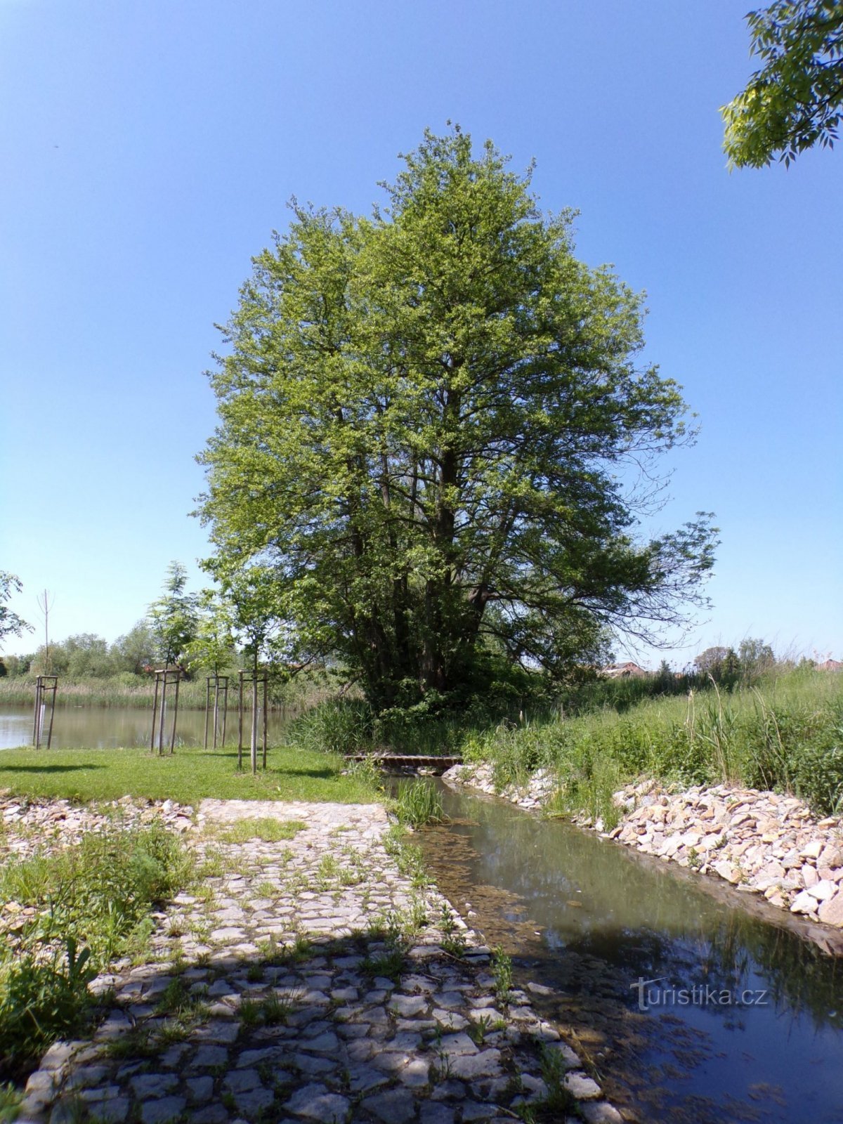 Vrškovské Pond 和 Rajská Strouhy 的连接（利比沙尼，3.6.2021 年 XNUMX 月 XNUMX 日）
