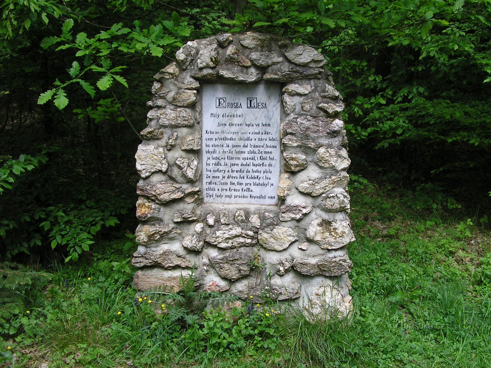 La demande de la forêt