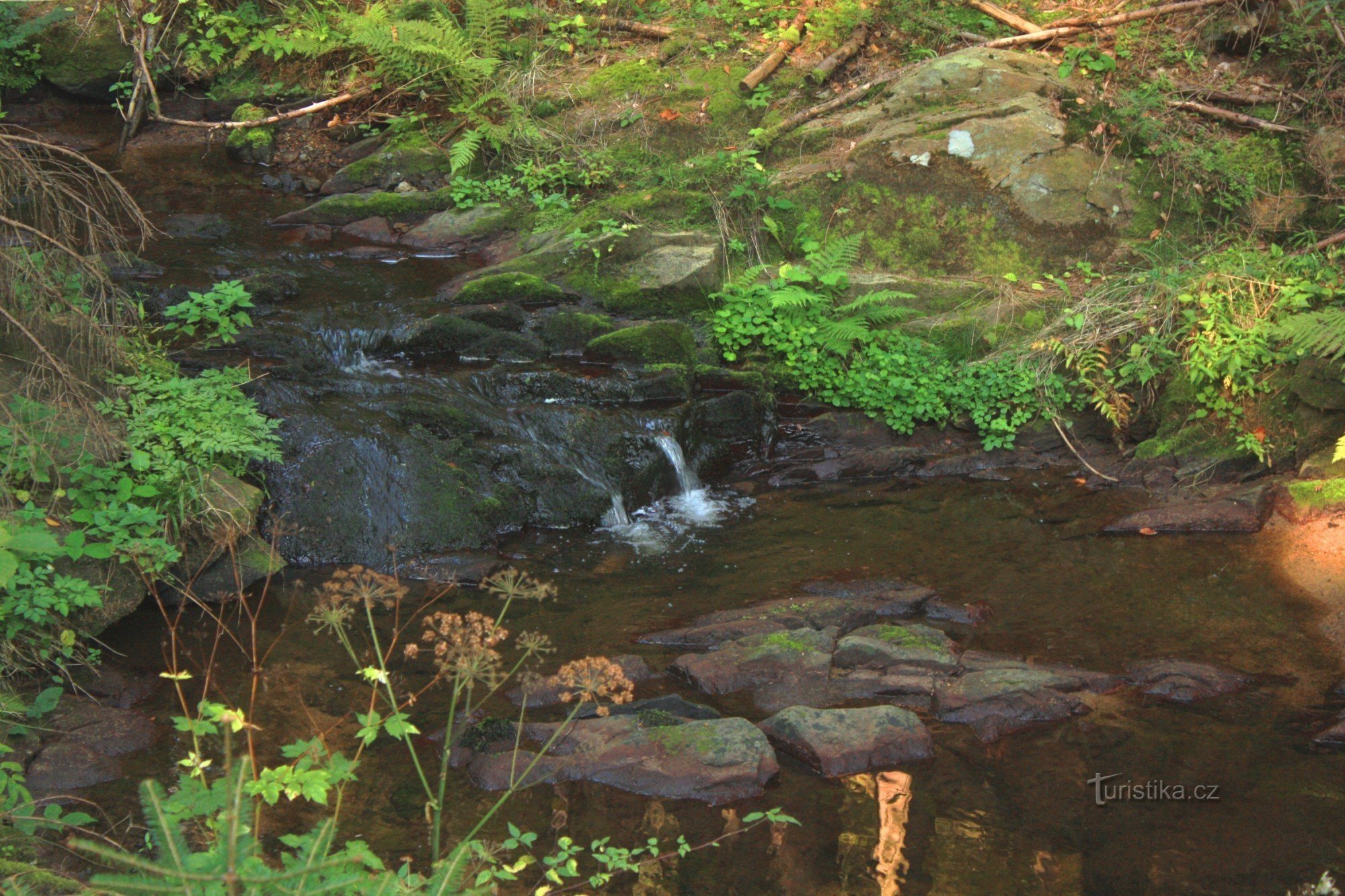 Prosečsky stream