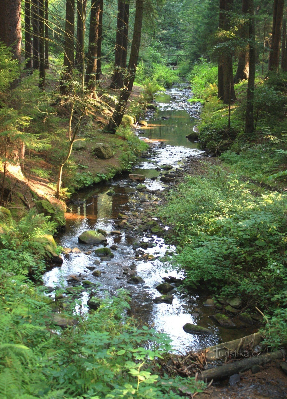 Prosečsky stream