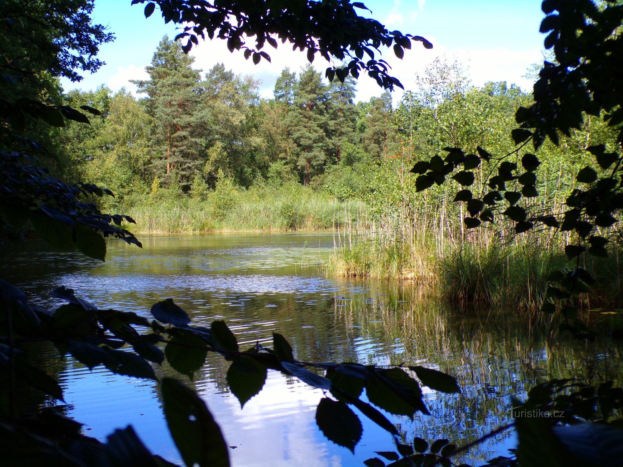 Średnie Houkvice (Petrovice nad Orlicí, 1.9.2022)