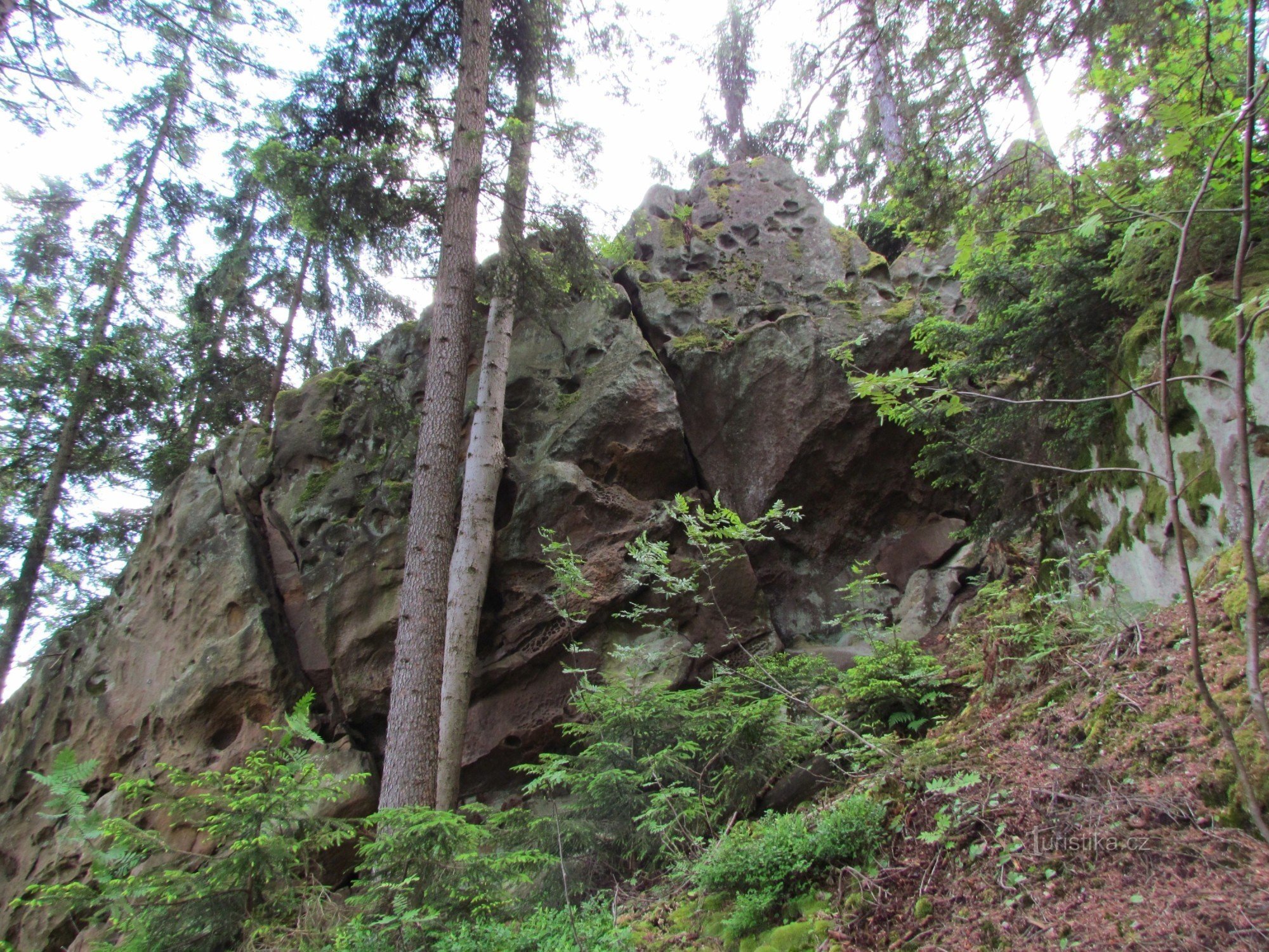 中拉奇诺夫岩石