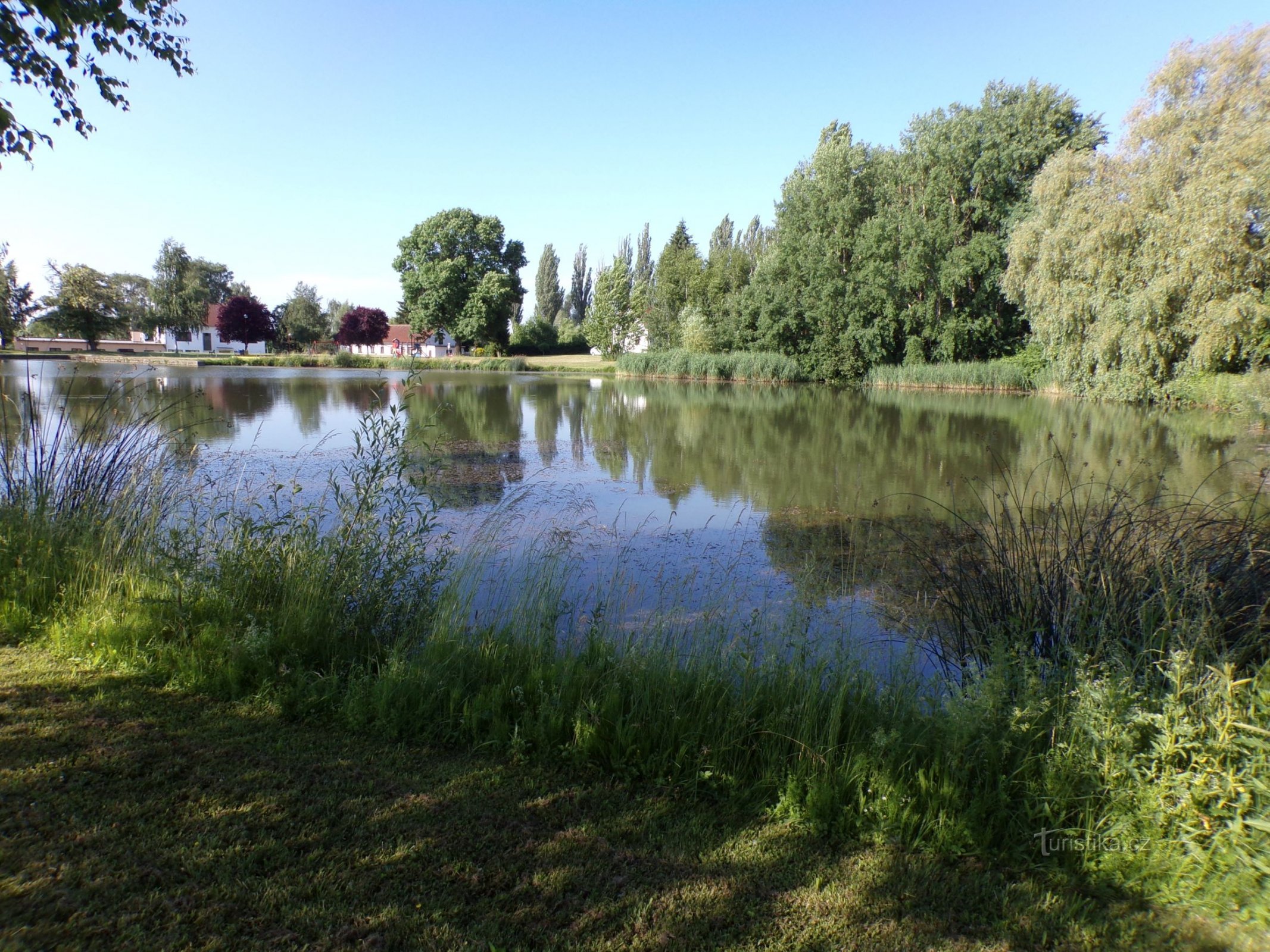 Keskilammi (Sadová, 20.6.2021)