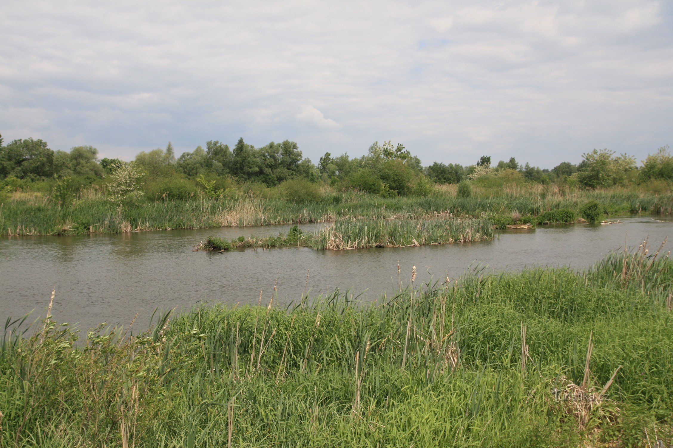 Podłużne wyspy na środku poszerzonej rzeki