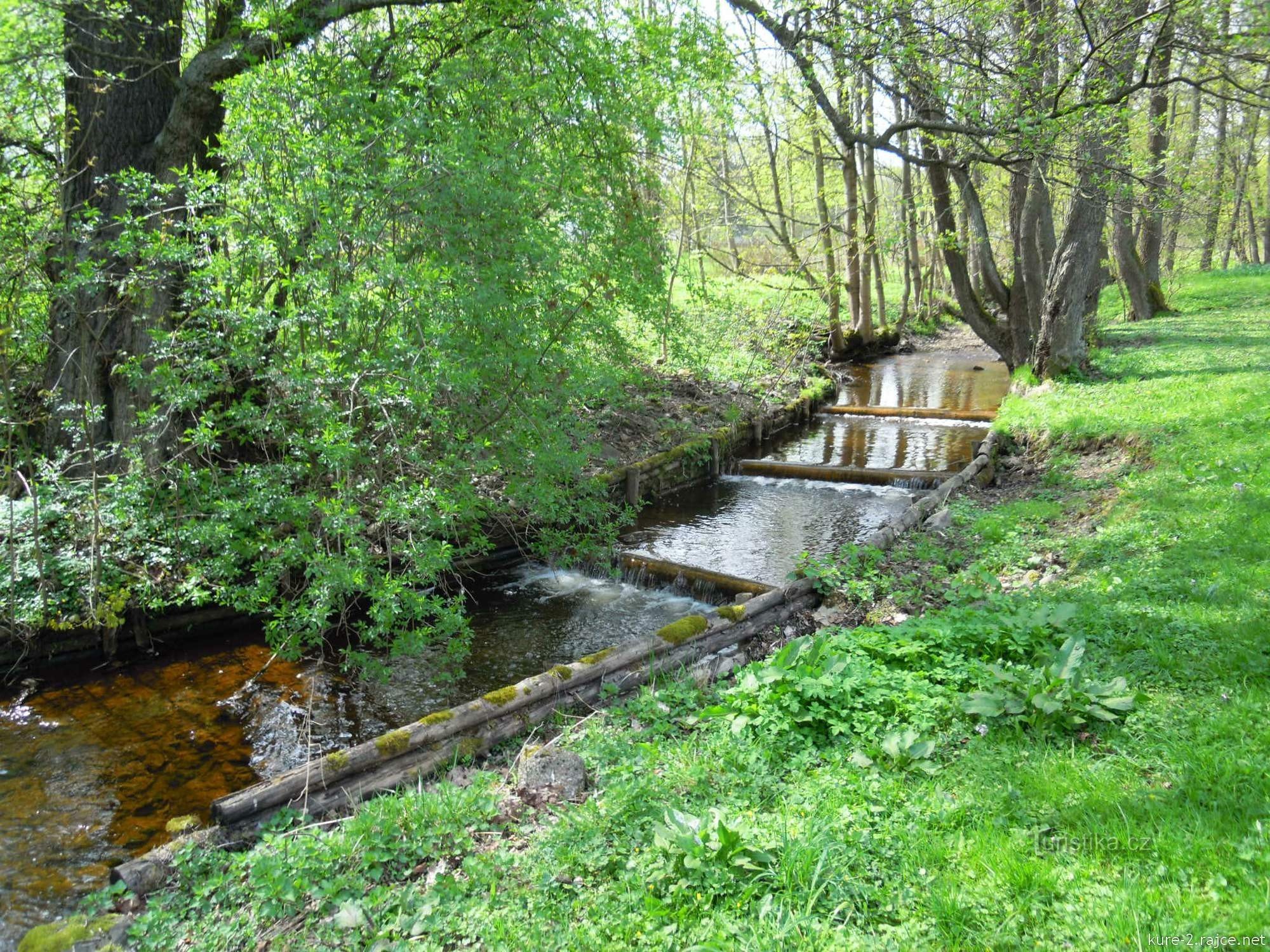 Hier fließt der Bach Úšovice...