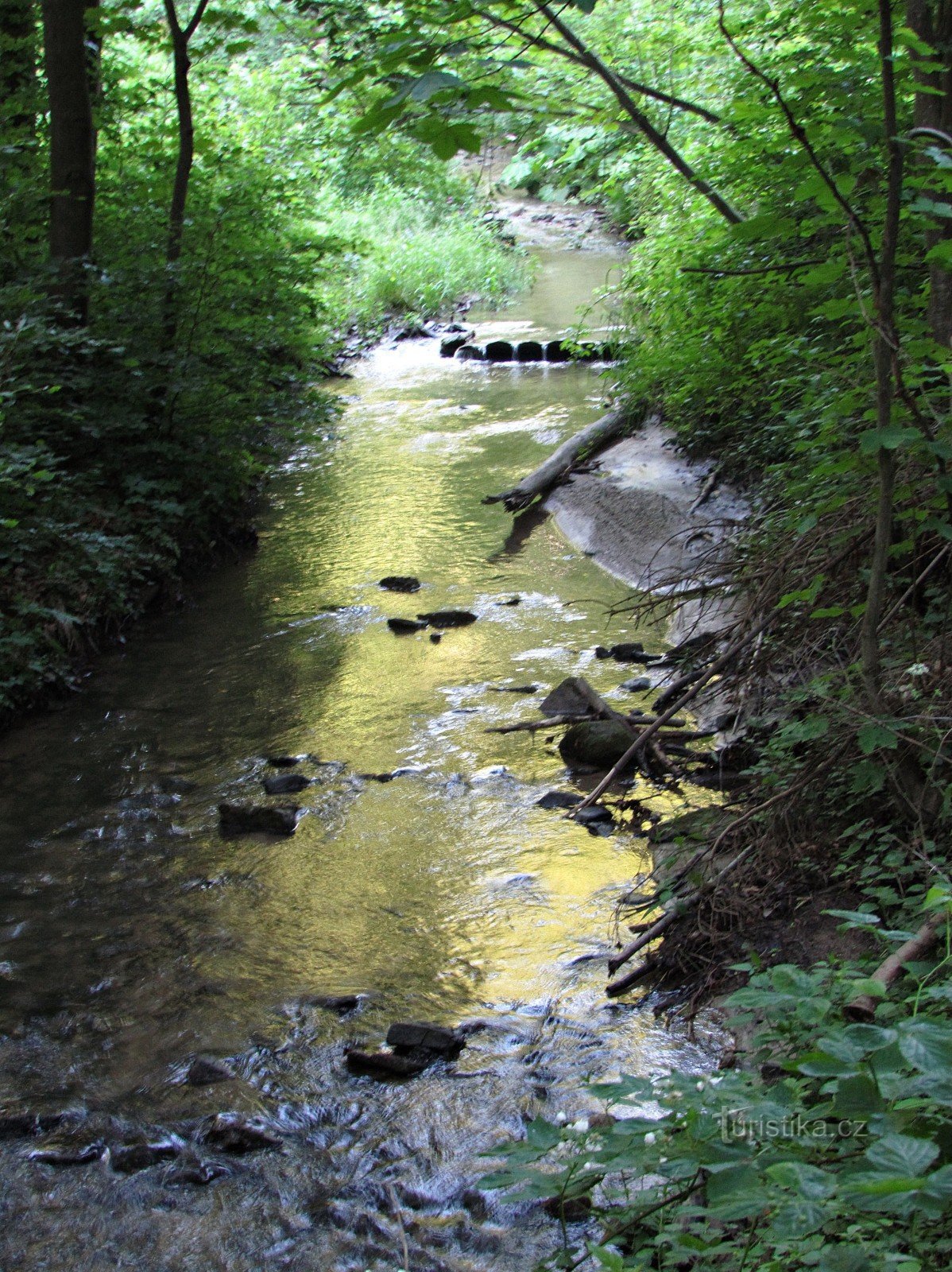 against the flow of Salaška