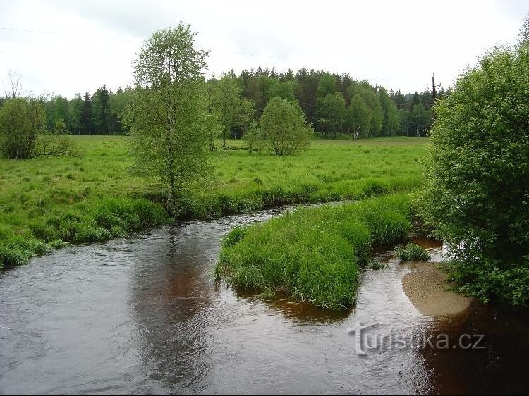 puknuta brana: Trepavice