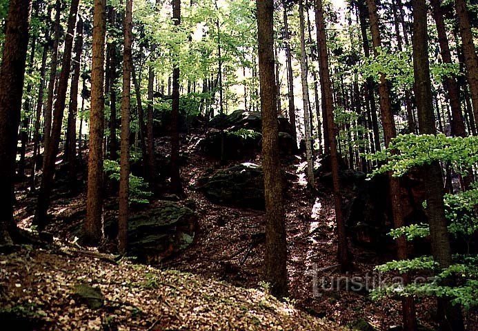 Provodov - Malenisko