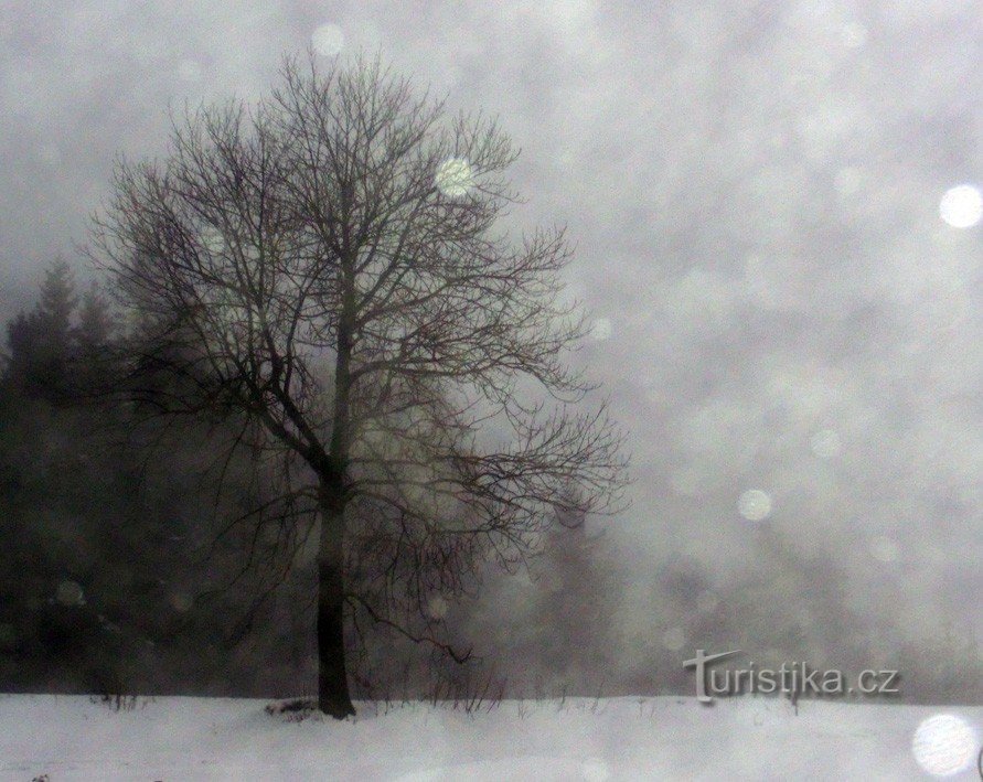 regnet oder schneit es?