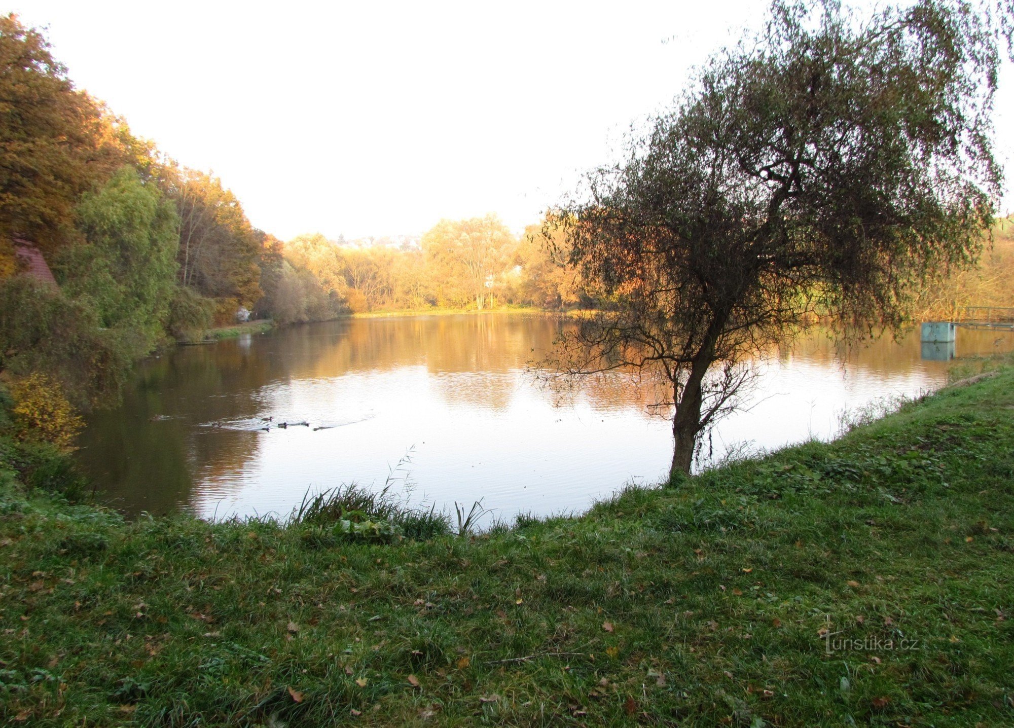 Pršten Pond