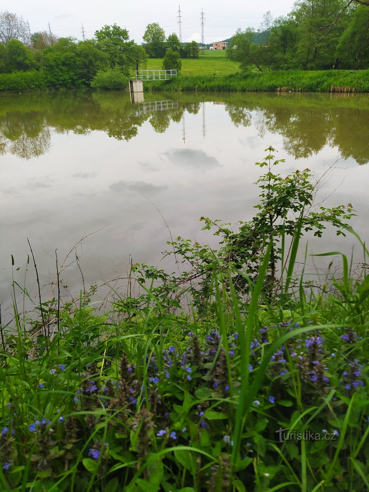 Pršten Pond