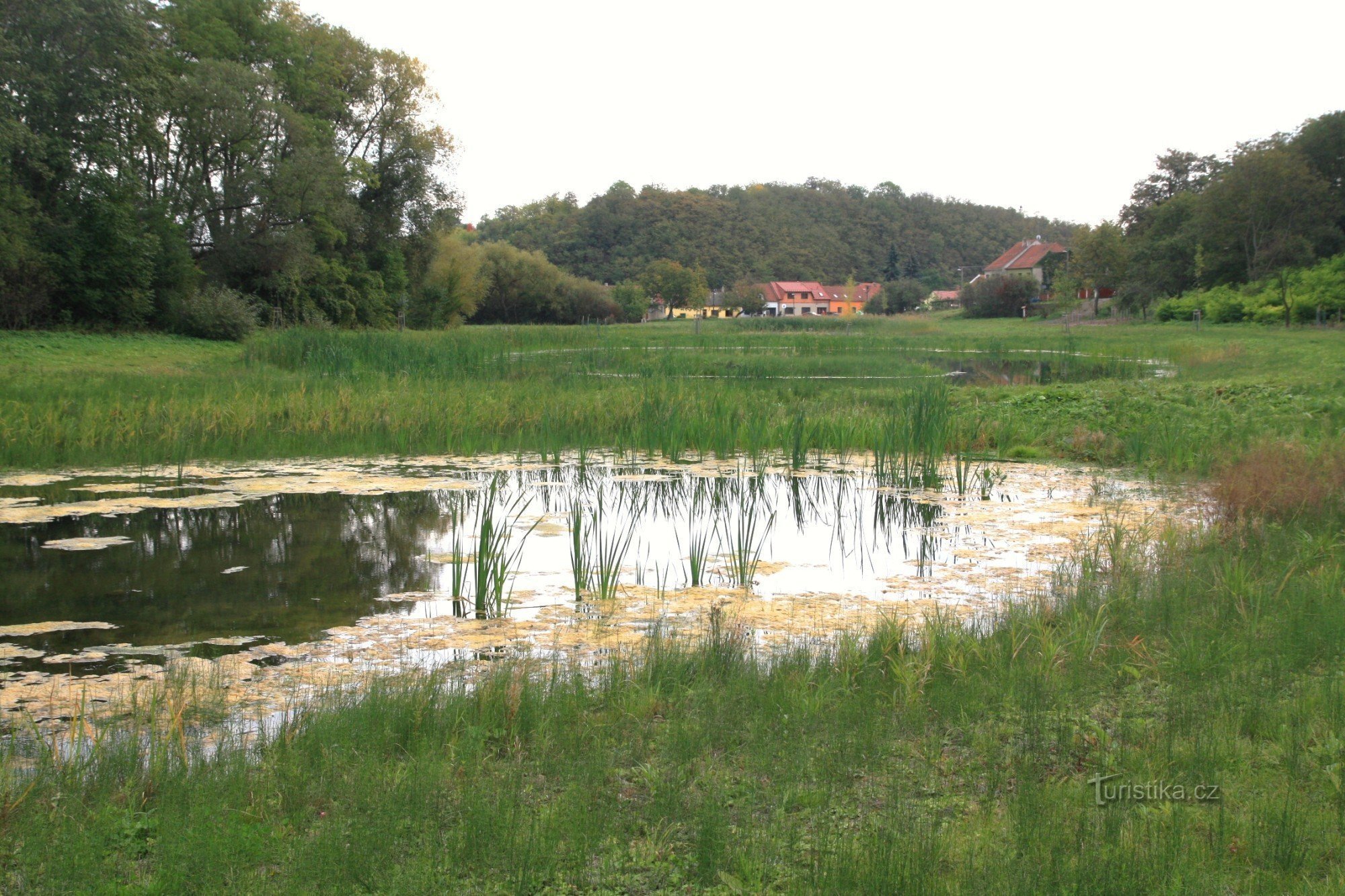 Prštice - zonă umedă