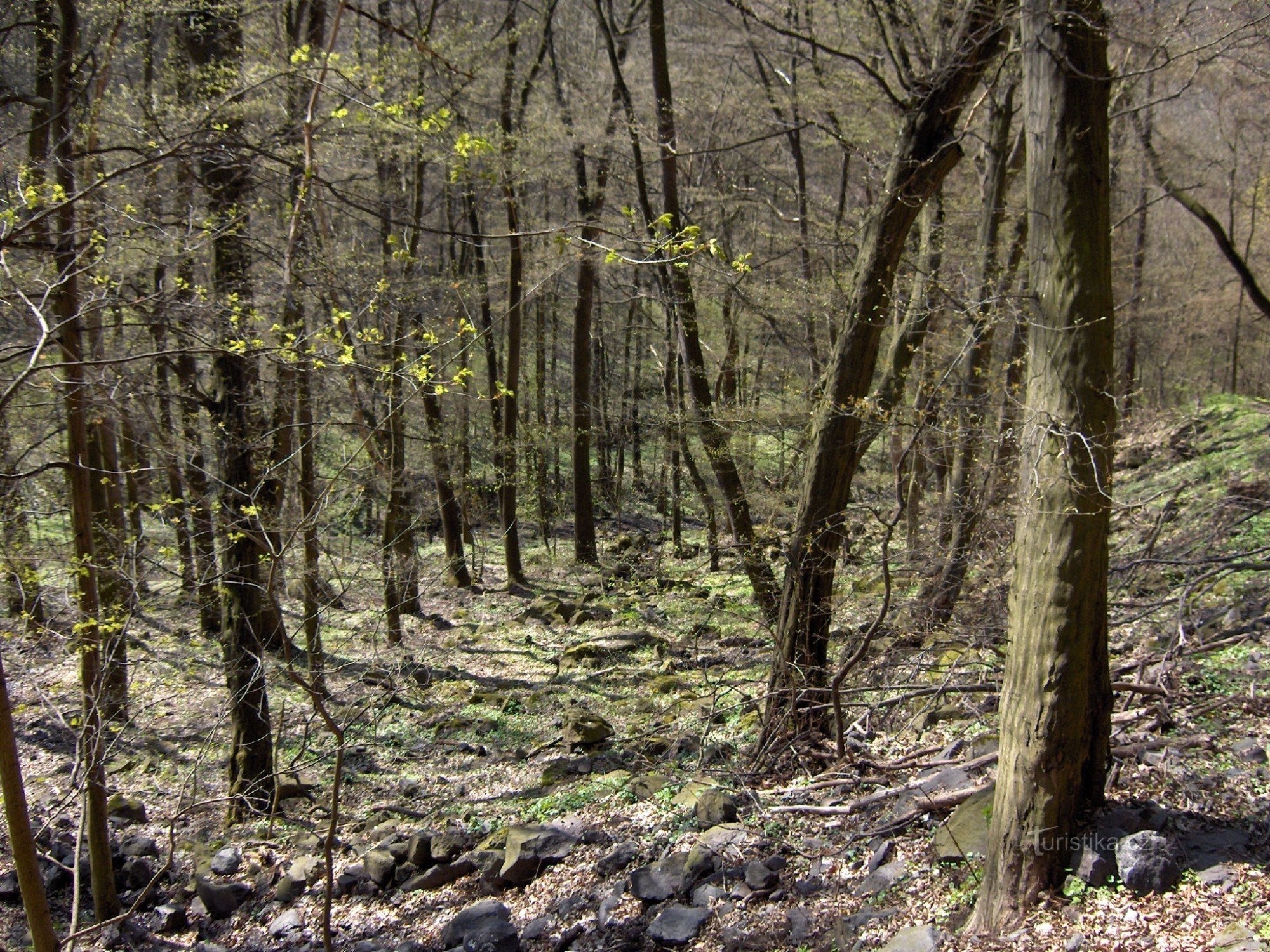 Barranco de Průčelská