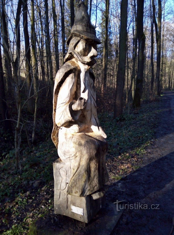 passage à travers la forêt enchantée