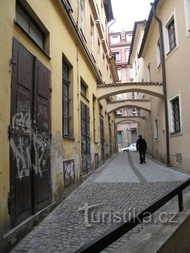 Transitório, prímulas