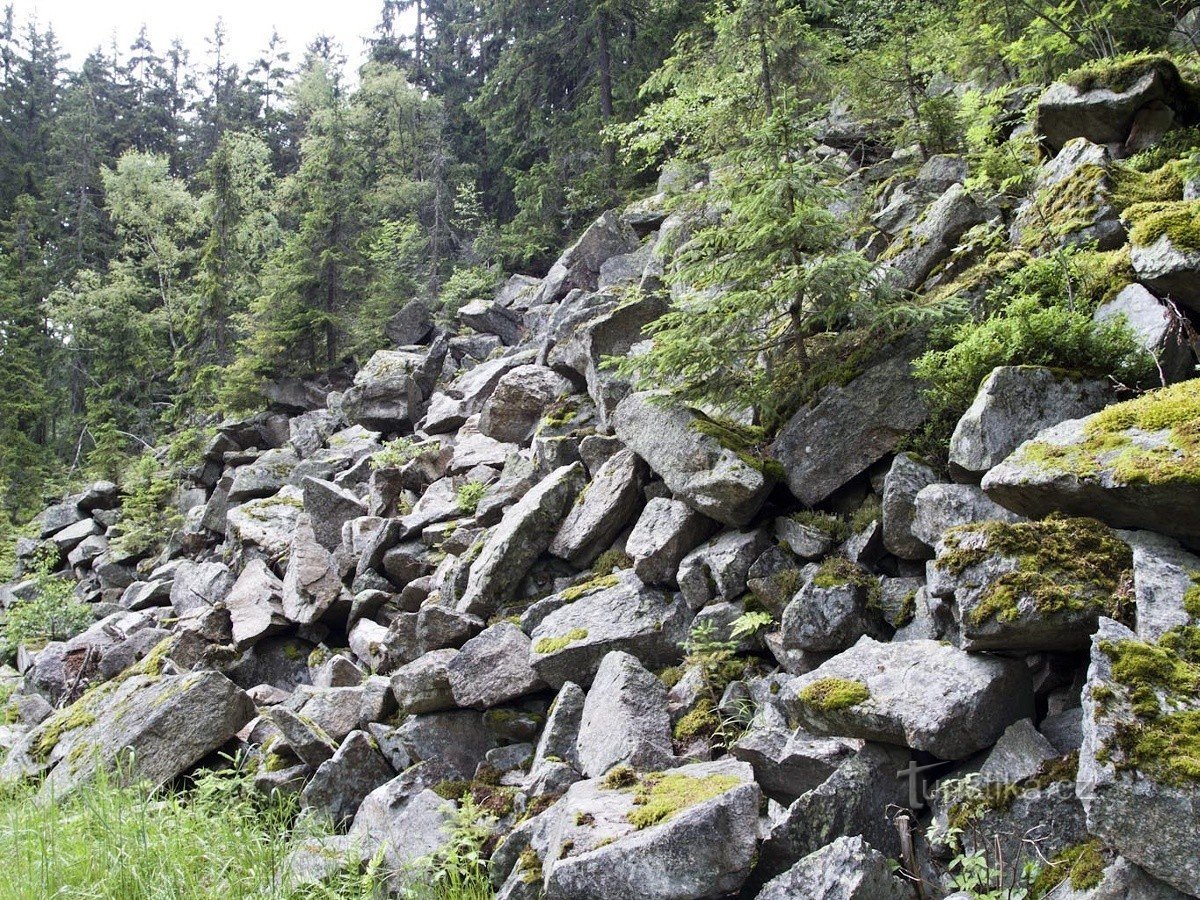 Strome zbocza pod drogą