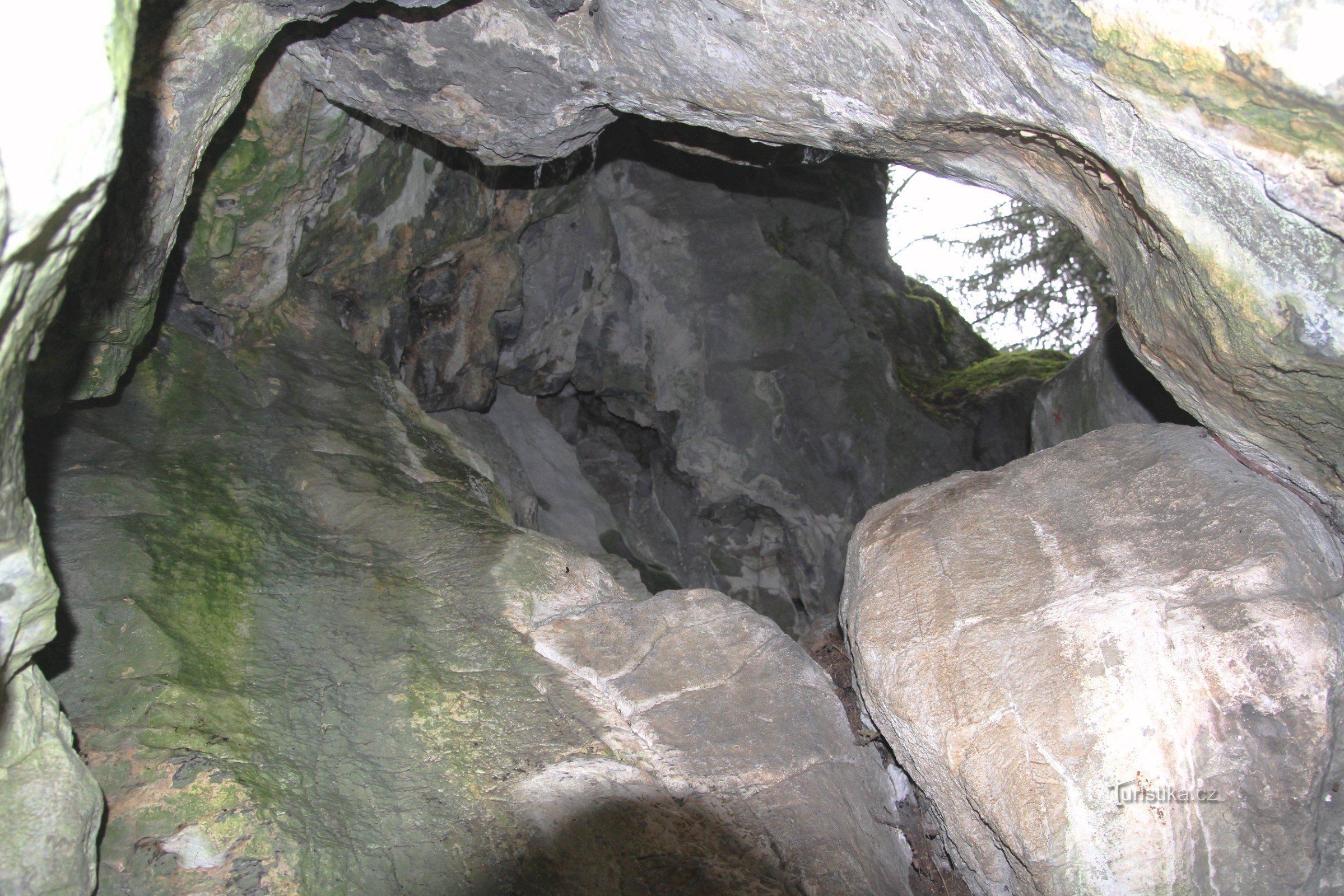 上部の入り口に向かって洞窟の眺め