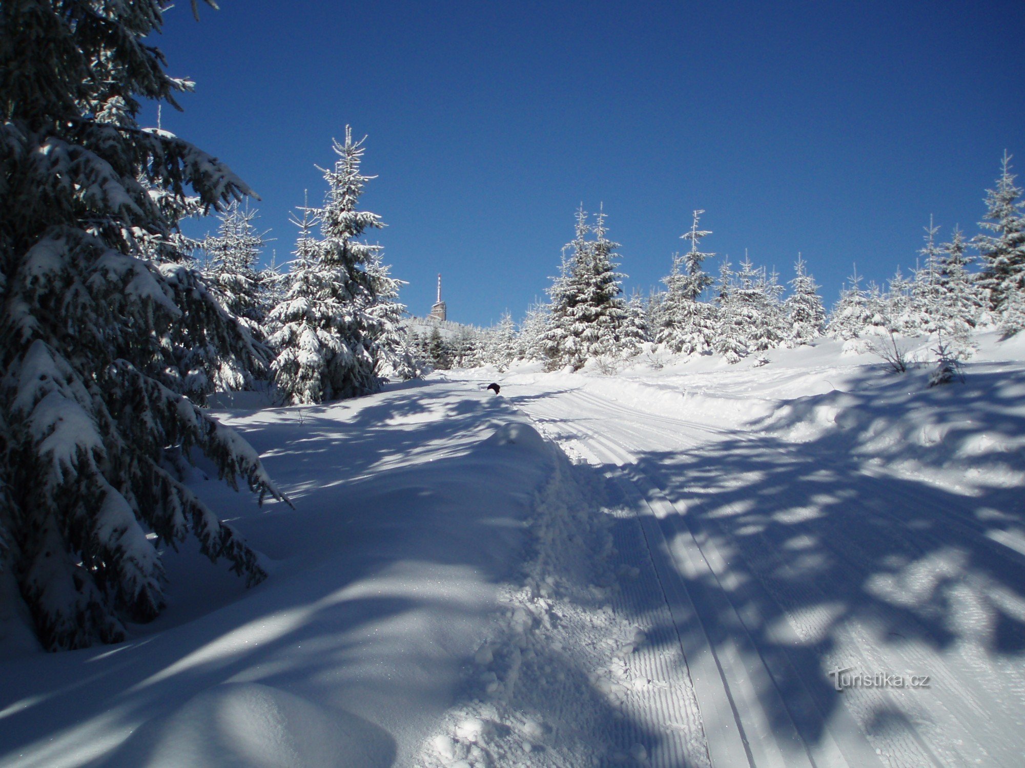 Widok na Lysá