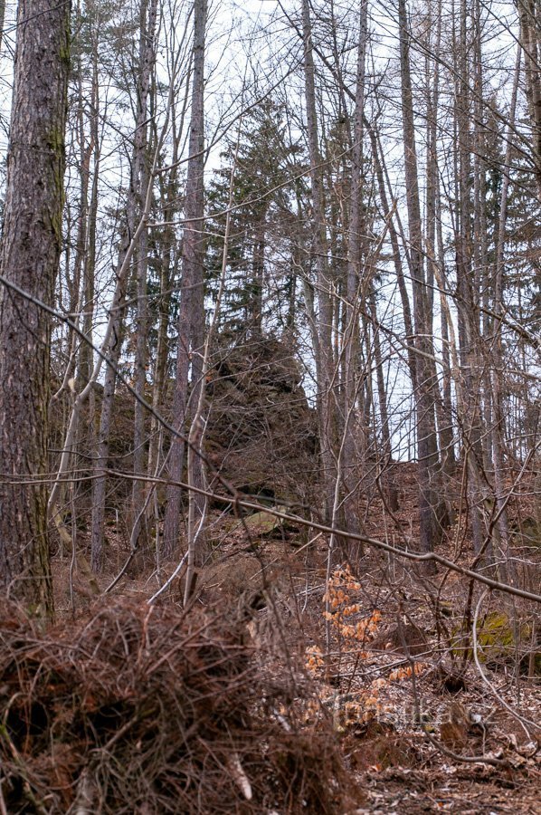 Blick auf die Felsen durch den Vorfrühlingswald